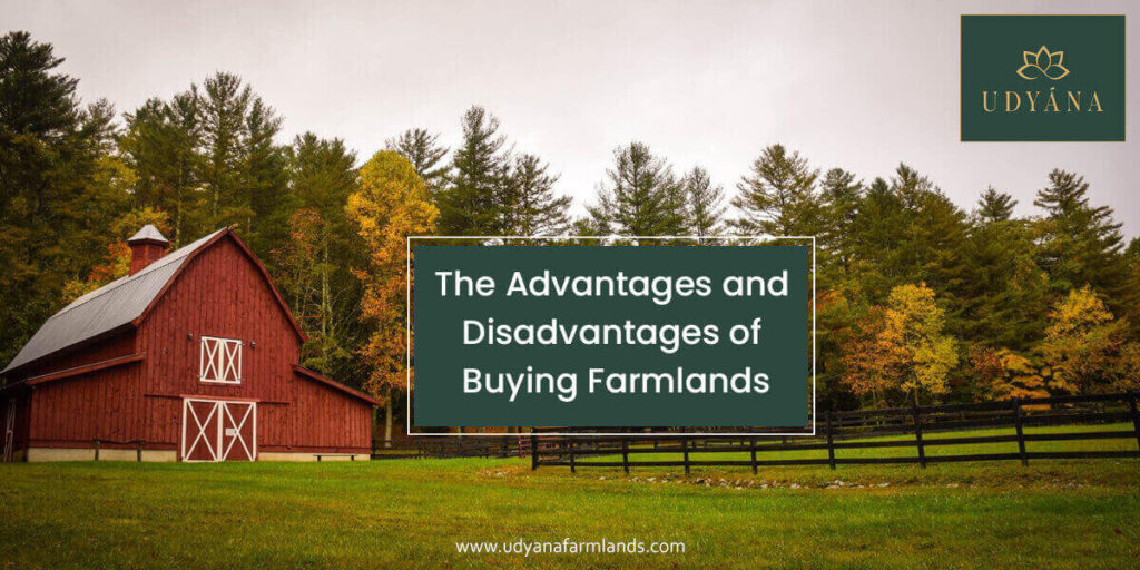 Advantages and Disadvantages of Buying Farmlands